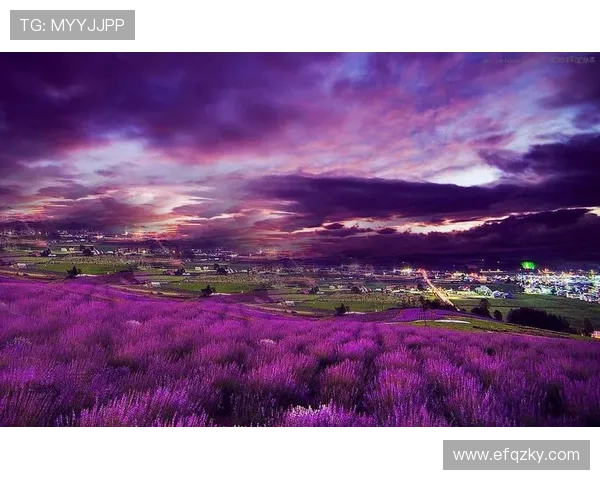 薰衣草的紫色梦境：一次触及灵魂的浪漫之旅